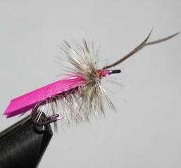 ���� �� ��������  ��� �39 (10) Caddis (Turkey Quills) ��. ��� ���� ��. � 10 